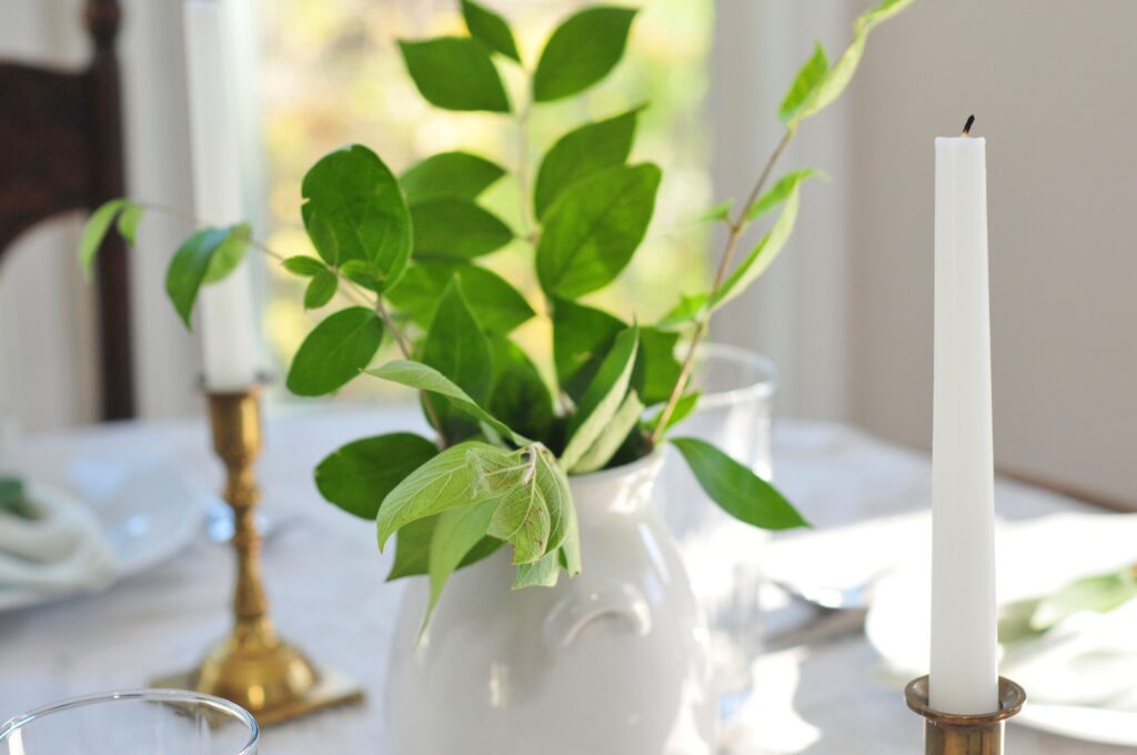 green branches in white vase