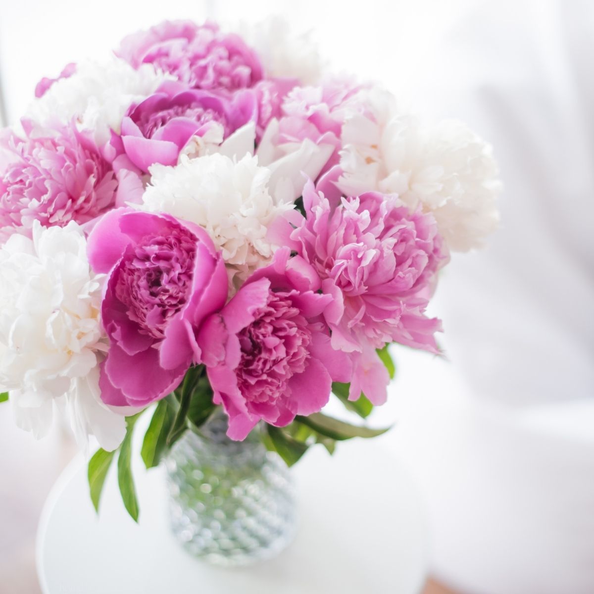 pink and white peonies in a vase on a table