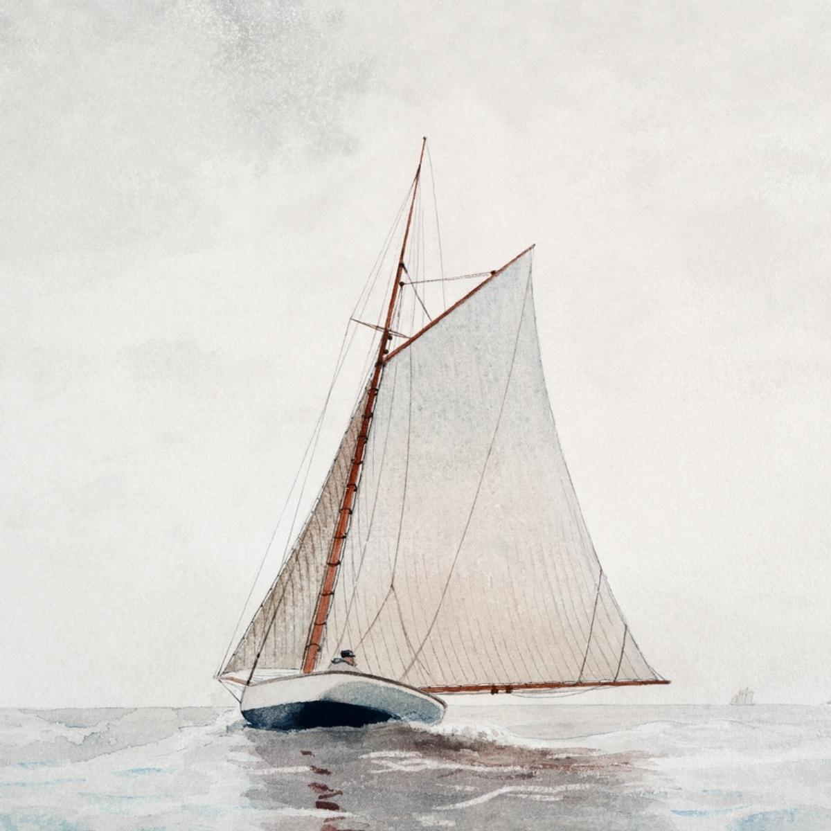 sailboat on the water