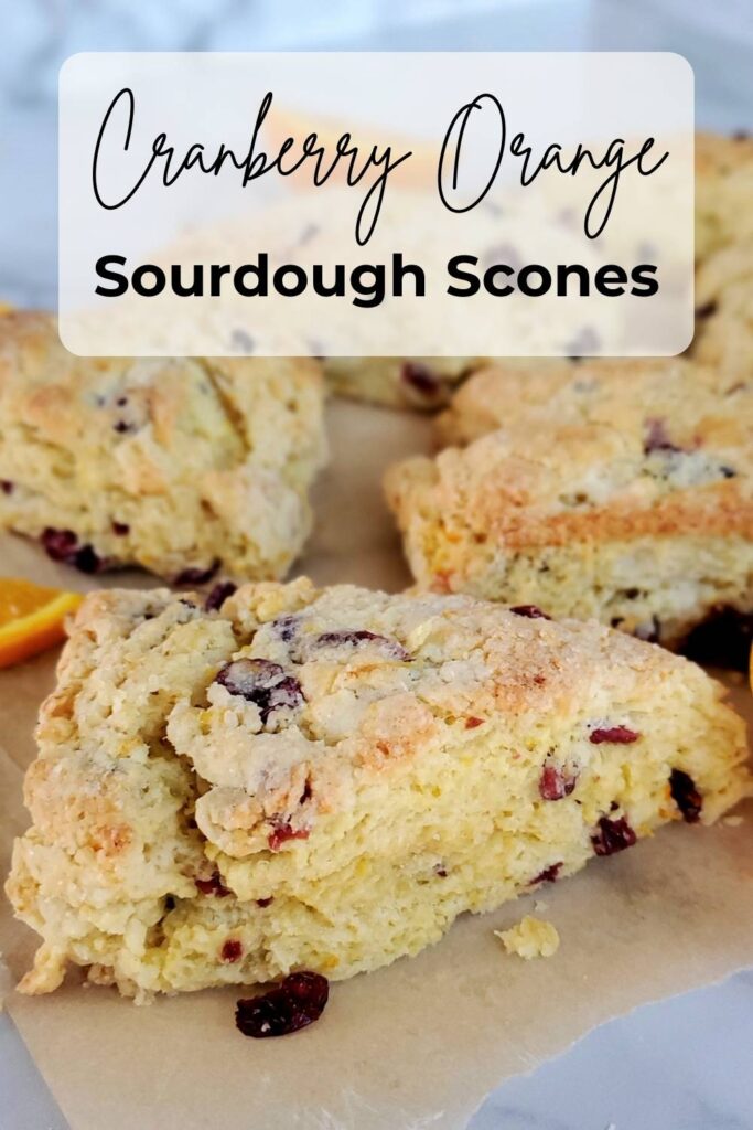 cranberry orange sourdough scones