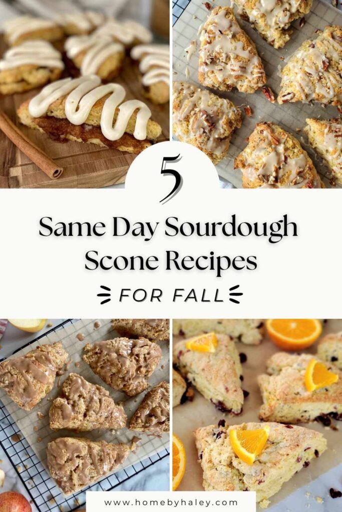 fall sourdough scones on baking racks