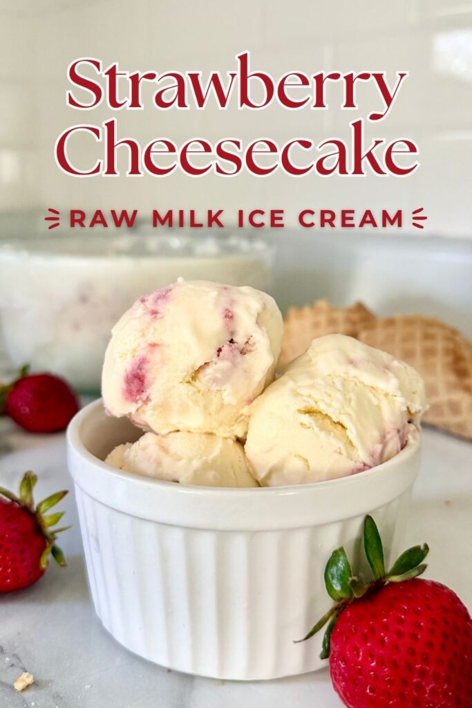 strawberry cheesecake raw milk ice cream in a ramekin