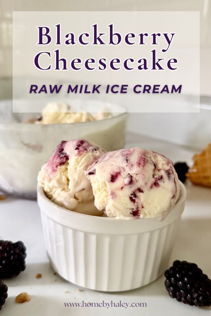blackberry cheesecake ice cream made with raw milk