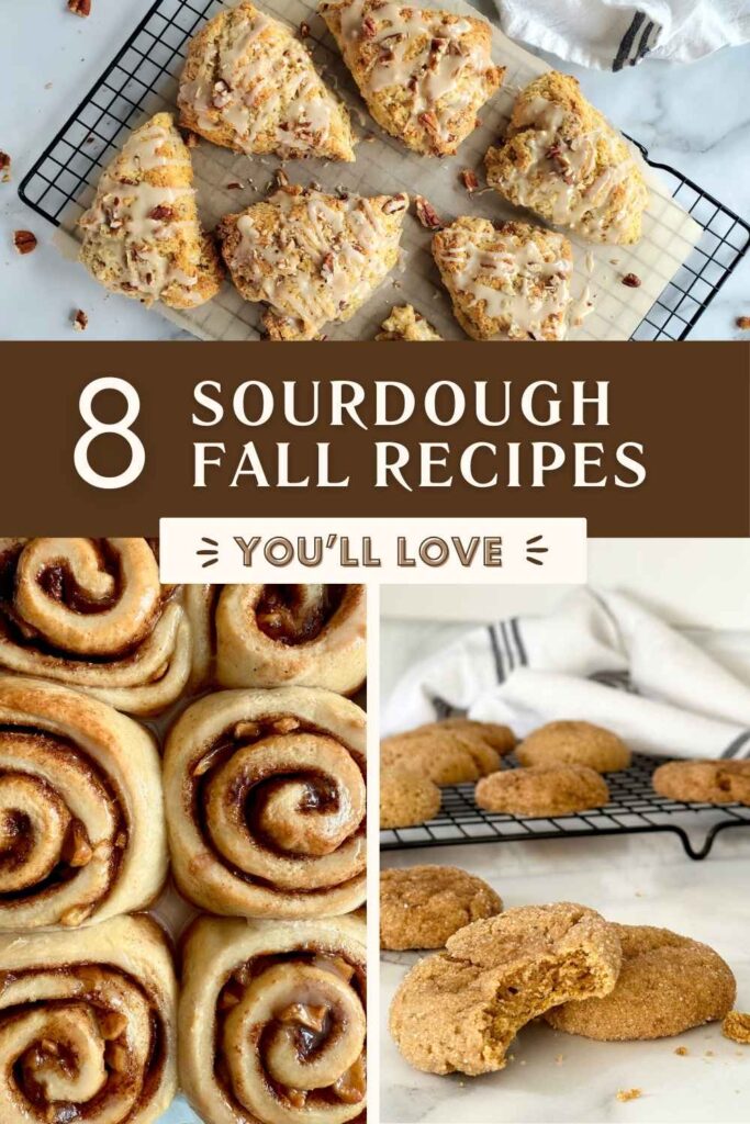 apple pie sourdough cinnamon rolls and pumpkin sourdough snickerdoodle cookies