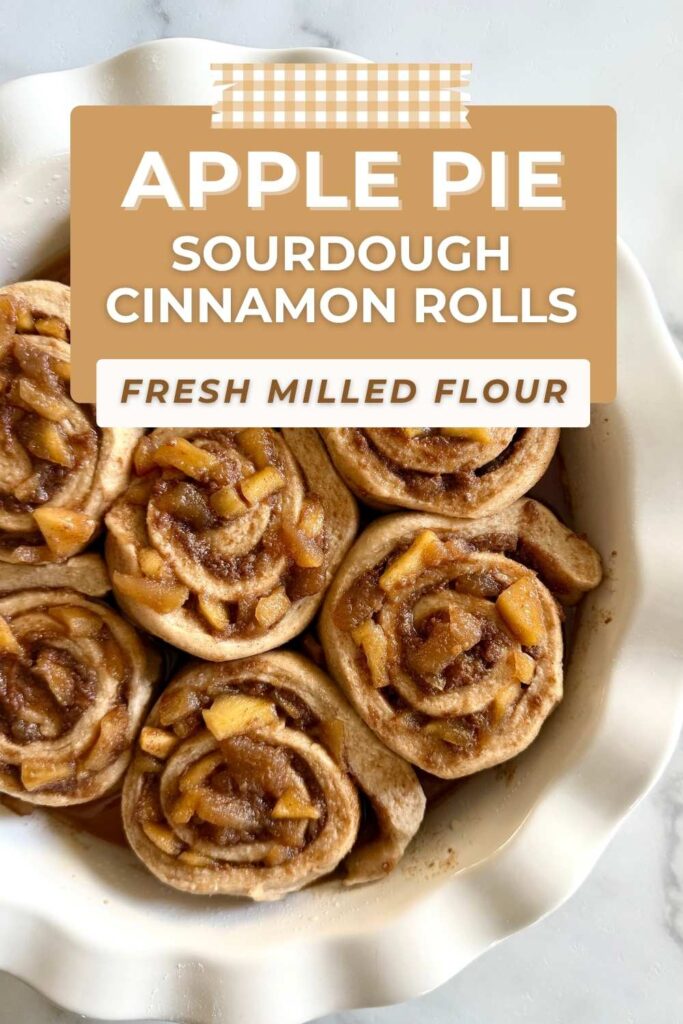fresh milled sourdough apple pie cinnamon rolls
