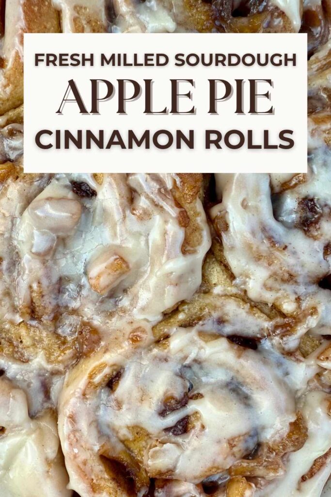 FRESH MILLED SOURDOUGH APPLE PIE CINNAMON ROLLS