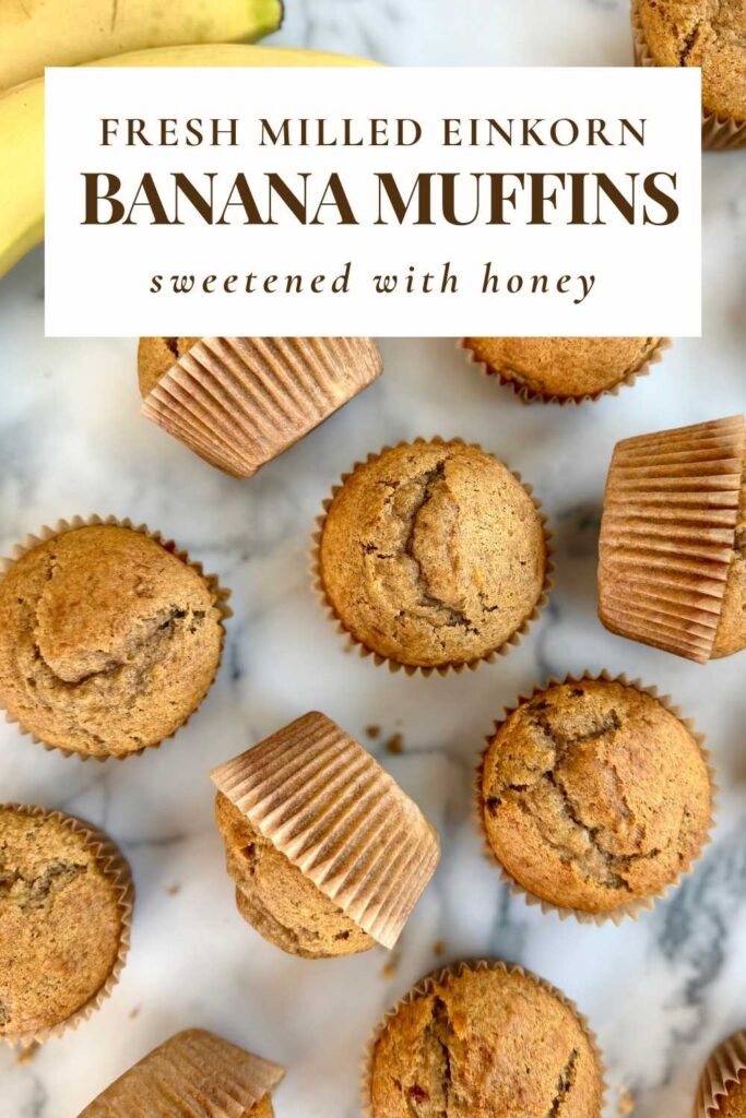 fresh milled einkorn banana muffins 
