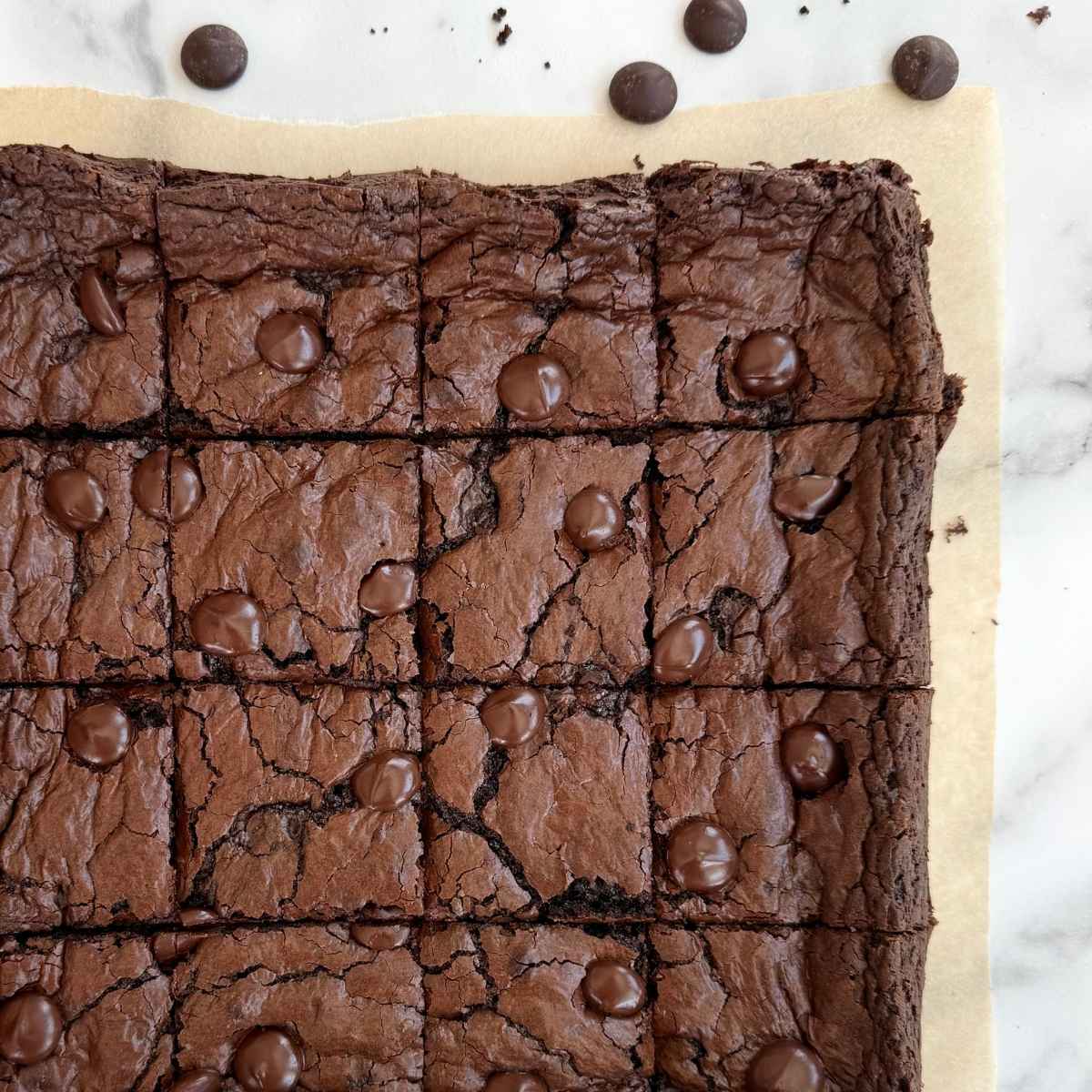 fresh milled einkorn fudgy brownies with chocolate chips