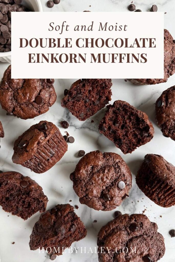 DOUBLE CHOCOLATE EINKORN MUFFINS