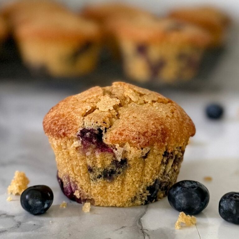 bakery style einkorn blueberry muffin with fresh blueberries