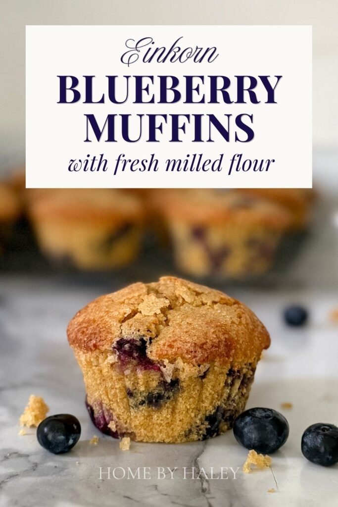 fresh milled einkorn blueberry muffin