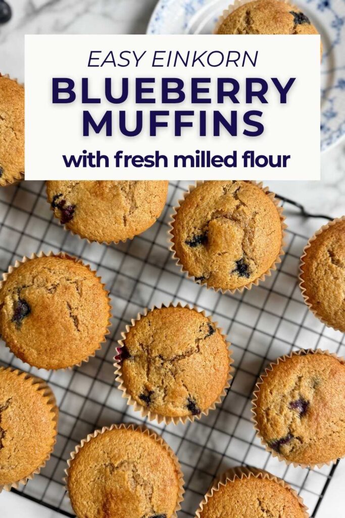 einkorn blueberry muffins pin
