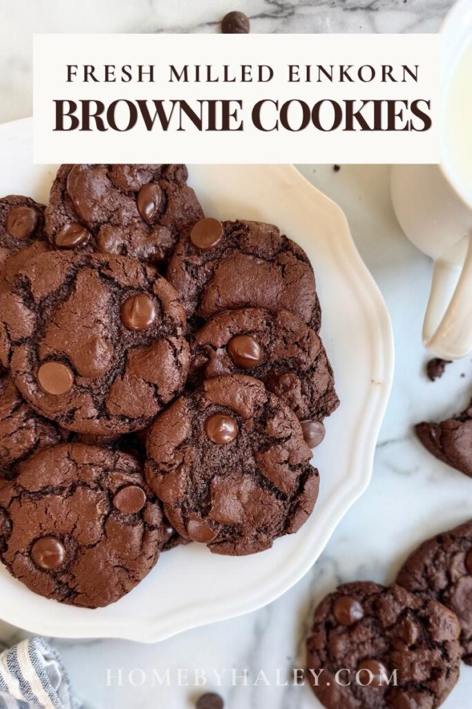 FRESH MILLED EINKORN FLOUR BROWNIE COOKIES 